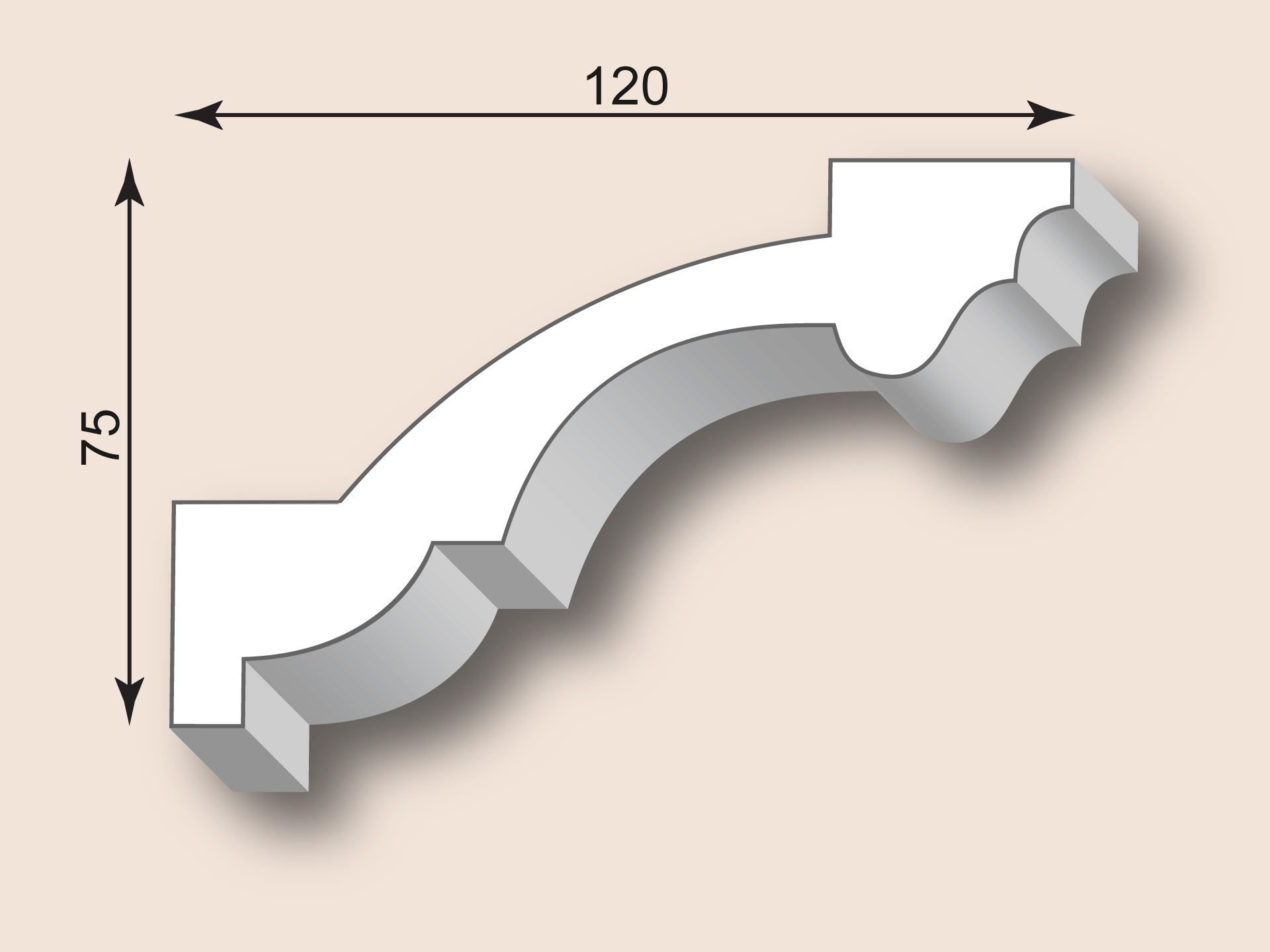 Stuckgesims SG120-01